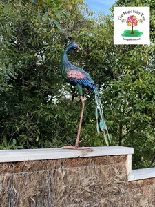 79cmH magnificent metal garden tall peacock statue ornament decor - Picture 1 of 9