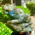 440G Rare Natural Labradorite Crystal Hand-Carved Tiger Sculptur Cure