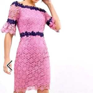 Paper Dolls Pink with Navy Blue Off Shoulder Lace Party Formal Dress Size 16 NWT - Picture 1 of 11