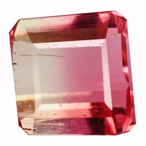 1.22Ct Superb Octagan 7.1 x 6.1 MM Bi Color Mozambique Natural Bi Col Tourmaline - Picture 1 of 5