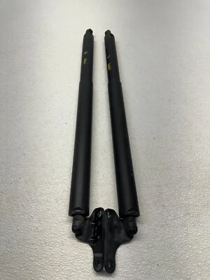 07-12 MERCEDES X164 GL450 MALETERO PORTÓN TRASERO PUNTAL IZQUIERDO Y DERECHO OEM 231994 Foto 1 de 4