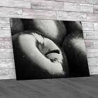 Close Up Dark Apple Fruit In Kitchen Canvas Print Large Picture Wall Art