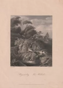 c1850 Das Hallali Stags at bay Jagd Jäger Hirsch Hirschjagd Stahlstich-Jagdszene - Imagen 1 de 1