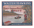 Reproduction étiquette caisse de fruits Walter Hawkins Jacksonville canoë hommes autochtones orange FL
