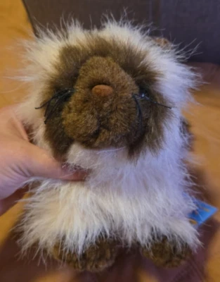 Ganz Webkinz Himalayan Cat Plush 8” Stuffed Animal HM165 READ DESC - Image 1 of 4