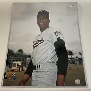 Fotografía de cerca de Rod Carew Hof Minnesota Twins 16x20 - Imagen 1 de 1