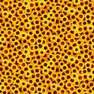 Mini tela floral Timeless Treasures Sunflower Symphony por yarda Foto 1 de 4