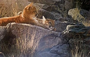 ISAAC COUGAR ""AFTERNOON LIGHT"" EDICIÓN LIMITADA #807 34x25" 1989, como nuevo con certificado de autenticidad/carpeta - Imagen 1 de 12