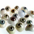 Artificial Prosthetic Mix color set of 10 Eye Superior Quality Free shipping