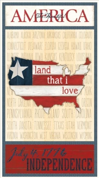 Painel de tecido 23" - Wilmington Heritage mapa patriótico rústico EUA pendurado na parede - Imagem 1 de 1