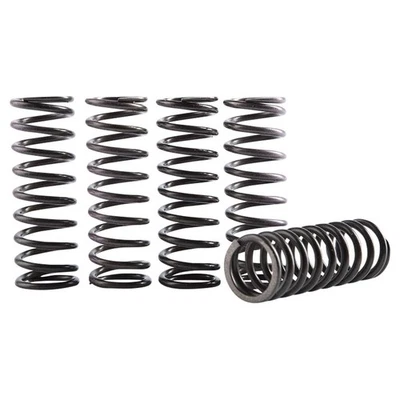 Hinson Hi-Temp Clutch Spring Kit For YAMAHA WR250F 2001-2009,2011-2013 - Imagem 1 de 3