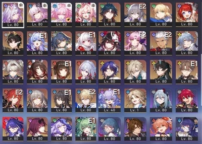 Honkai Star Rail asia Castorice Hyacine Evernight Cyrene Saber Archer Firefly - Image 1 of 4