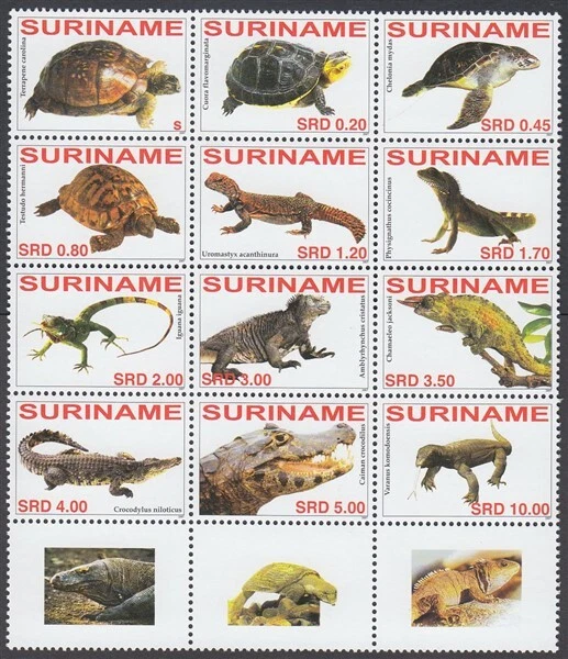 SURINAM 2007 REPTILES BLOQUE COMO NUEVO (x12) (ID:882/D56175) Foto 1 de 1