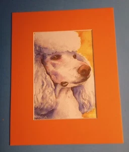 Impresión de retrato en acuarela mate de 8" x 10" de un caniche blanco cachorro perro - Imagen 1 de 3