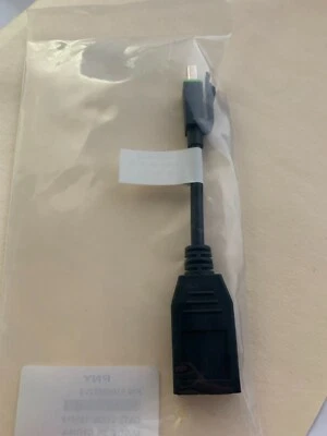 PNY mini Display Port Male to Display Port Female Adapter 91008582V3 - Image 1 of 2