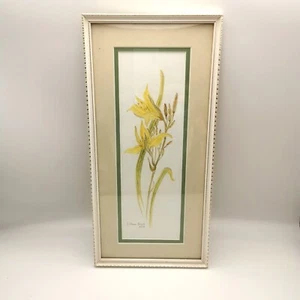 Vintage gerahmte und signierte Bleistiftzeichnung von Narzissenblumen von L. Anne Stout. - Bild 1 von 9