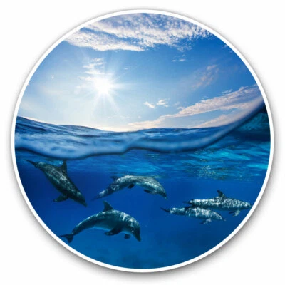 2 x Vinyl Stickers 20cm - Swimming Underwater Dolphins Pod Cool Gift #21469 - Image 1 of 4