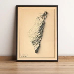 Mapa de Palestina, Mapa en Relieve 2D de Palestina, Mapa Vintage de Palestina - Plano 2D - Imagen 1 de 7