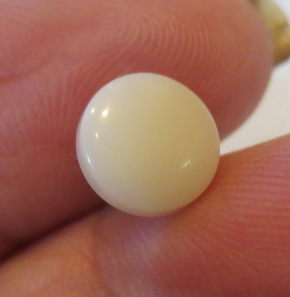 Botones de vástago ligeramente abovedados de plástico tú eliges color y tamaño Foto 1 de 1