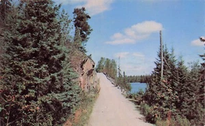 "Profondità nella foresta" Minnesota Arrowhead Country - Foto 1 di 2