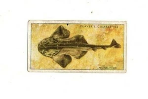 John Player Cigarette Card - Sea Fishes, 1935 - Monk-Fish - Picture 1 of 2