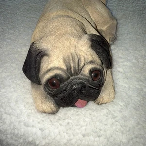 Vintage Sandicast Künstler Sandra Brue signierte Mops Welpe Hund Statue Made in USA 1982 - Bild 1 von 15