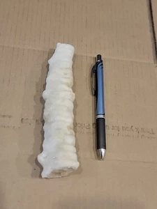 7,5" x 2" Zoll Stalagtit oder Stalagmit aus unterirdischer Höhle - Bild 1 von 8