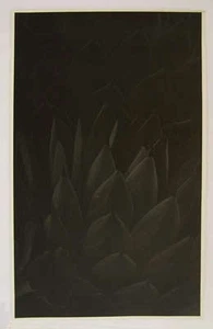 Paul Heismann Plant Study Still Life c1930s-40s 11x7 Vintage Photograph - Picture 1 of 1