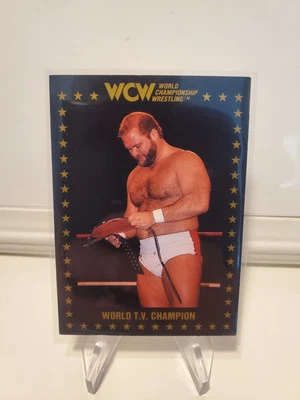 1991 CHAMPIONSHIP MARKETING WCW ARN ANDERSON TV TITLE CARD 27 FOUR HORSEMEN - Image 1 of 2