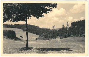 Cartolina Masserberg/Foresta della Turingia - paesaggio/ambiente - nero/bianco - Foto 1 di 2