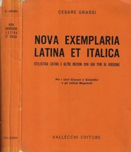 Nova exemplaria latina et italica. Stilistica latina e altre nozioni con 550 tem - Foto 1 di 1