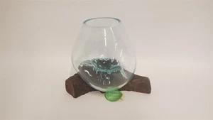 Cape Craftsmen geschmolzene Glasschale Terrarium Pflanzgefäß auf natürlichem Teak Treibholz - Bild 1 von 7