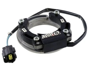 Estator 1007 Digital PVL / R&D rotor interior sistema de encendido - Imagen 1 de 1