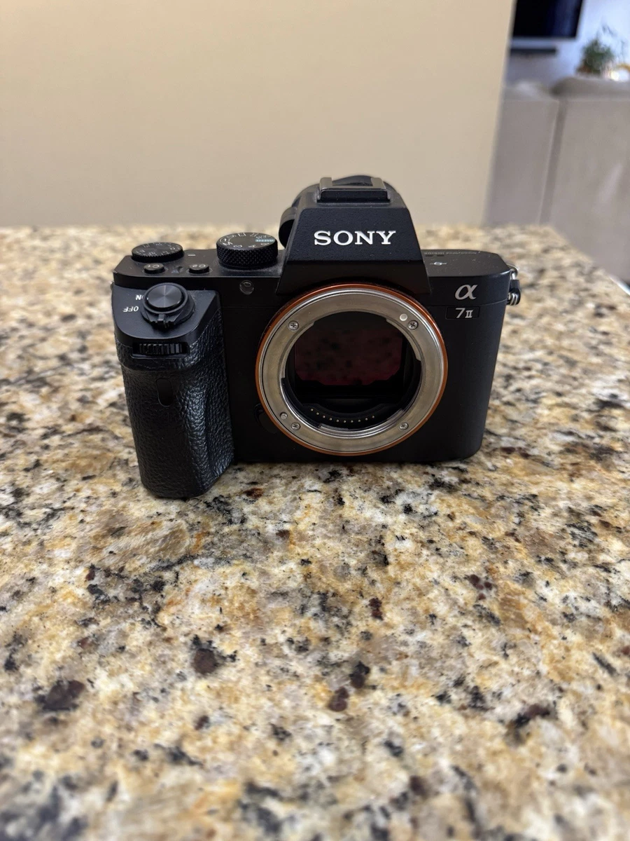 Sony A7II Mirrorless Interchangeable Lens Digital Cameras 20-29.9