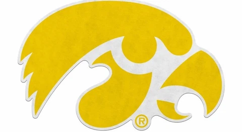 Iowa Hawkeyes 18" Primary Logo Pennant Soft Felt Cover