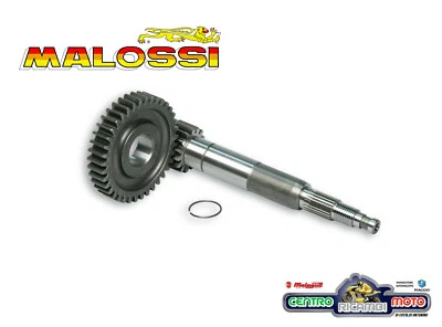 Ingranaggi Rapporti Primari Malossi HTQ z 16 37 A cuscinetto Piaggio Zip SP 2001