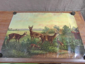 AFFICHE CHROMO vers 1920 SCENE ANIMALIERE CERF ET DAIMS - Foto 1 di 4