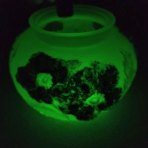 Tiffin Uranium Glass Vase /Bowl Satin Frosted Green with Red Poppy Flowers 5" T - Picture 1 of 10