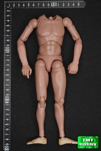 1:6 Scale Facepoolfigure FP017B WWII USMC Mortar Team Snafu - Body w/Arm NO HEAD - Picture 1 of 3