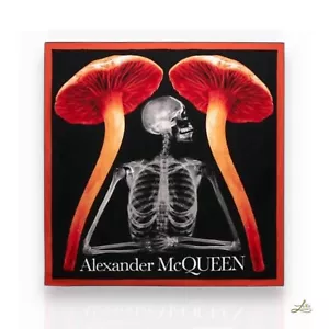 Alexander McQueen Skelett Print Foulard - Bild 1 von 2