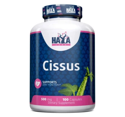 HAYA LABS Cissus quadrangularis 500mg - 100 Kapseln Gelenke Gesundheit Antioxidans