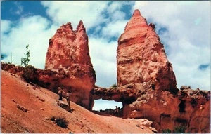 Tower Bridge Bryce Canyon National Park Utah Postcard C6624 Unposted - Picture 1 of 2