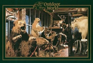 Vintage Bass Pro Shops Outdoor World Postcard - Picture 1 of 2