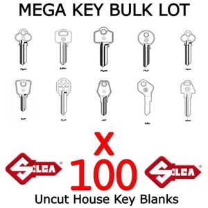 House Key Blanks BULKLOT KIT x100 Silca key blanks Starter set - Bild 1 von 12