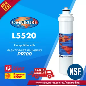 OMNIPURE L5520 USA PR100 replacement cartridge PRC1 CARAVAN WATER FILTER - Picture 1 of 8