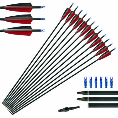 12pcs Archery Carbon Natural Feather Arrows Spine 500 Turkey Recurve Bow Hunting - Image 1 of 4