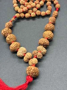 1-14 Mukhi, Ganesh, Gaurishankar Siddha Mala Indonesian Lab Certified 10mm-15mm - Picture 1 of 5