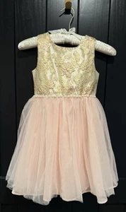 Badgley Mischka Pink Floral Jacquard Sheer Dress w/Pearl Detail - Girls' Size 5 - Picture 1 of 12