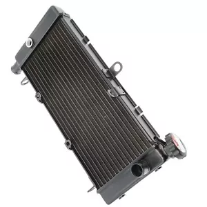 Radiator For Honda CB600F 98-06 CB 600 F Hornet 1998-2006 - Picture 1 of 2