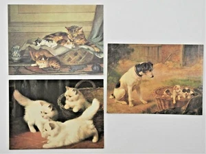 Menge 3 ~ 1990er National Humane Education Society Grußkarten Katzen Hunde - Bild 1 von 4